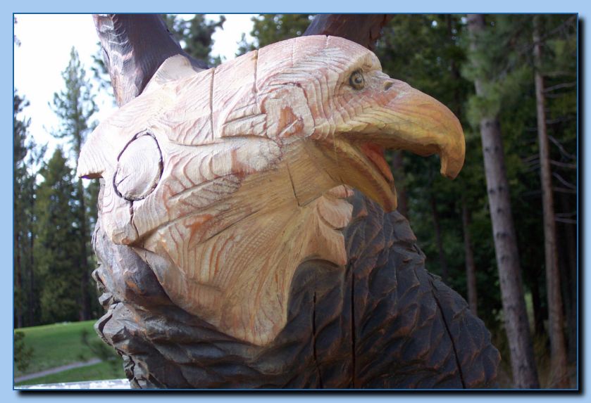 2-13 eagle  perched, half-spread wings-archive-0004